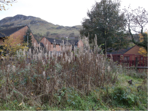 Menstrie Primary School