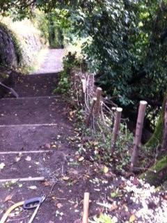 The beginnings of a mighty fine dead hedge