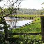 River Devon